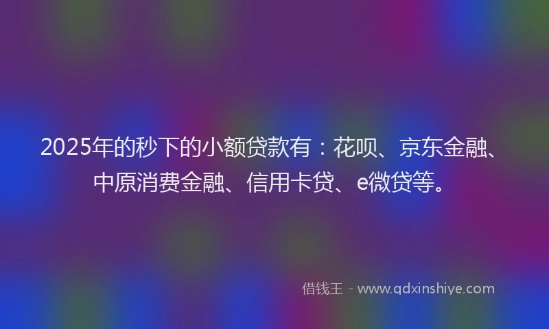 2025年的秒下的小额贷款有：花呗、京东金融、中原消费金融、信用卡贷、e微贷等。