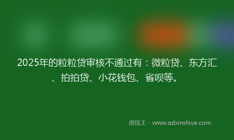 2025年的粒粒贷审核不通过有：微粒贷、东方汇、拍拍贷、小花钱包、省呗等。