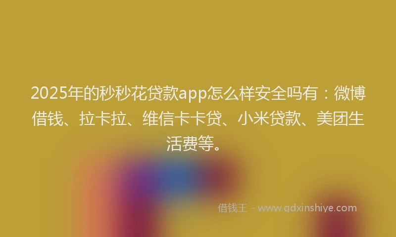 2025年的秒秒花贷款app怎么样安全吗有：微博借钱、拉卡拉、维信卡卡贷、小米贷款、美团生活费等。