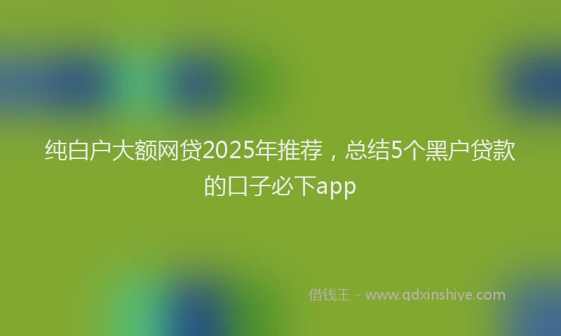 纯白户大额网贷2025年推荐，总结5个黑户贷款的口子必下app