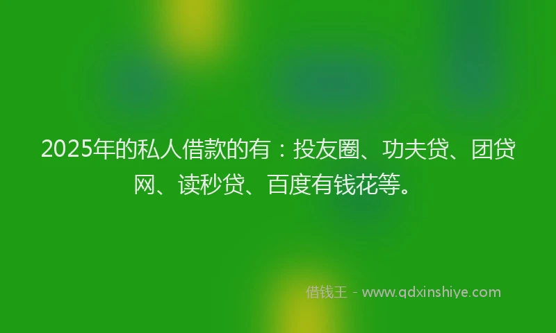 2025年的私人借款的有：投友圈、功夫贷、团贷网、读秒贷、百度有钱花等。