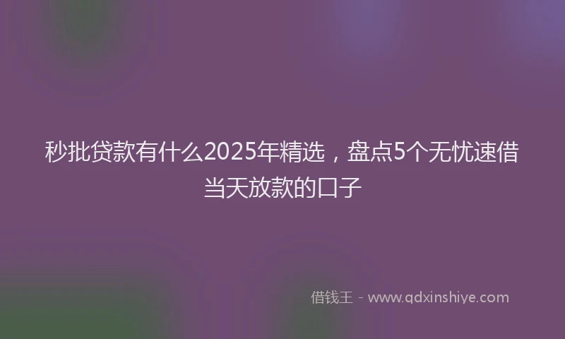 秒批贷款有什么2025年精选，盘点5个无忧速借当天放款的口子