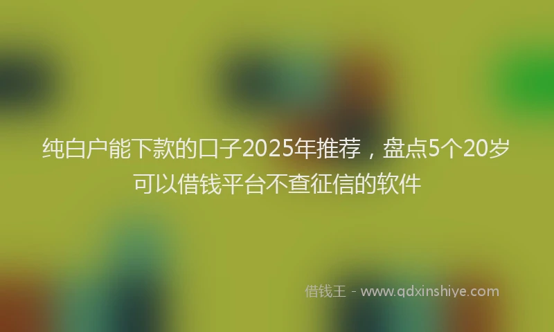 纯白户能下款的口子2025年推荐，盘点5个20岁可以借钱平台不查征信的软件