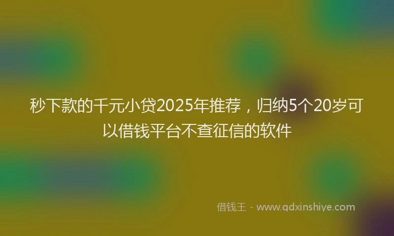 秒下款的千元小贷2025年推荐，归纳5个20岁可以借钱平台不查征信的软件