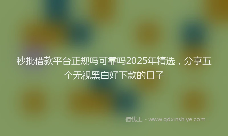 秒批借款平台正规吗可靠吗2025年精选，分享五个无视黑白好下款的口子