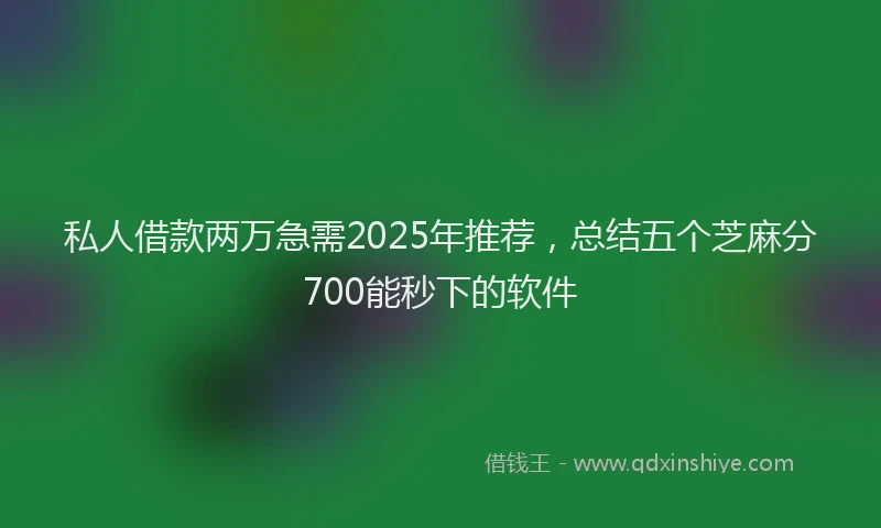 私人借款两万急需2025年推荐，总结五个芝麻分700能秒下的软件
