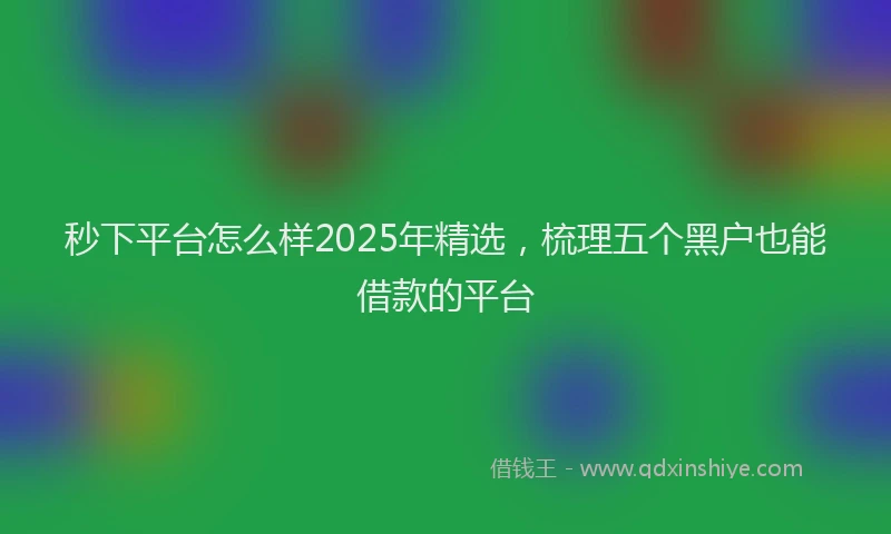 秒下平台怎么样2025年精选，梳理五个黑户也能借款的平台