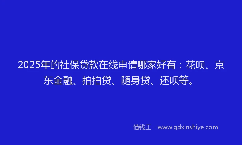 2025年的社保贷款在线申请哪家好有：花呗、京东金融、拍拍贷、随身贷、还呗等。