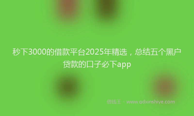 秒下3000的借款平台2025年精选，总结五个黑户贷款的口子必下app