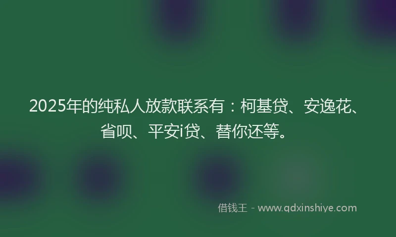 2025年的纯私人放款联系有：柯基贷、安逸花、省呗、平安i贷、替你还等。