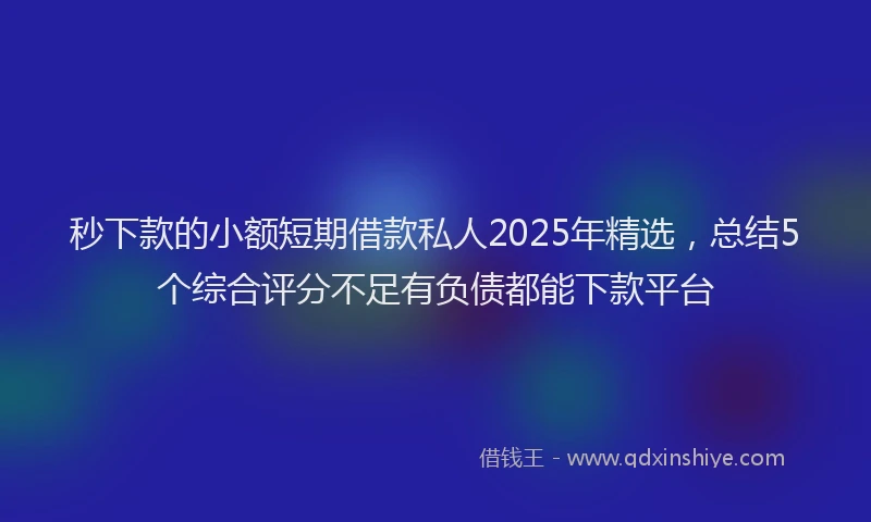 秒下款的小额短期借款私人2025年精选，总结5个综合评分不足有负债都能下款平台