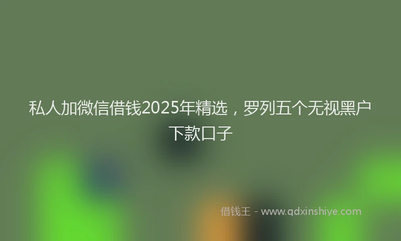 私人加微信借钱2025年精选，罗列五个无视黑户下款口子