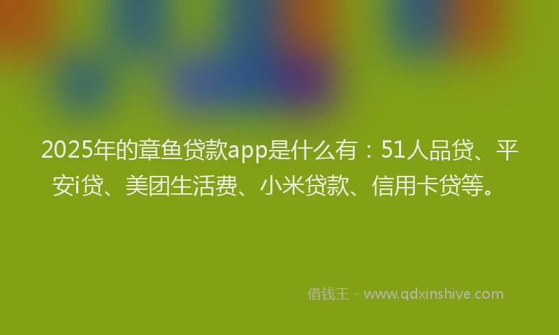 2025年的章鱼贷款app是什么有：51人品贷、平安i贷、美团生活费、小米贷款、信用卡贷等。