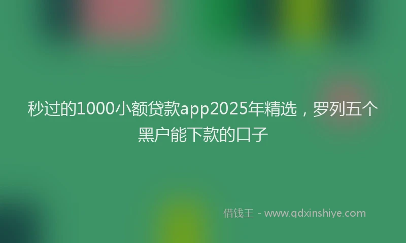 秒过的1000小额贷款app2025年精选，罗列五个黑户能下款的口子