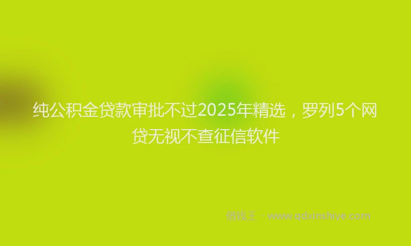 纯公积金贷款审批不过2025年精选，罗列5个网贷无视不查征信软件