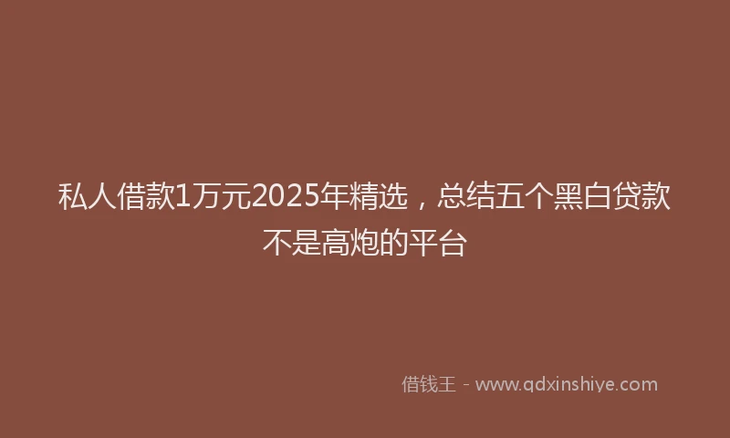 私人借款1万元2025年精选，总结五个黑白贷款不是高炮的平台