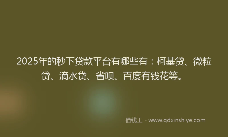 2025年的秒下贷款平台有哪些有：柯基贷、微粒贷、滴水贷、省呗、百度有钱花等。