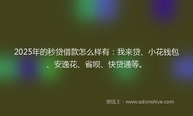 2025年的秒贷借款怎么样有：我来贷、小花钱包、安逸花、省呗、快贷通等。