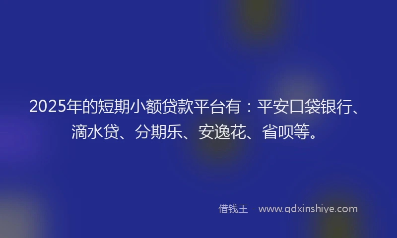 2025年的短期小额贷款平台有：平安口袋银行、滴水贷、分期乐、安逸花、省呗等。
