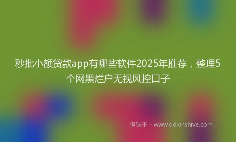 秒批小额贷款app有哪些软件2025年推荐，整理5个网黑烂户无视风控口子