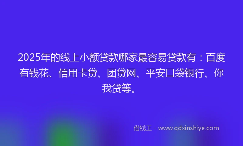 2025年的线上小额贷款哪家最容易贷款有：百度有钱花、信用卡贷、团贷网、平安口袋银行、你我贷等。
