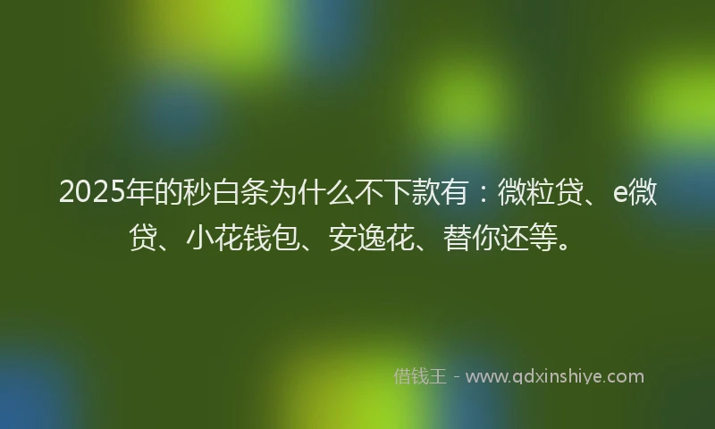 2025年的秒白条为什么不下款有:微粒贷、e微贷、小花钱包、安逸花、替你还等。