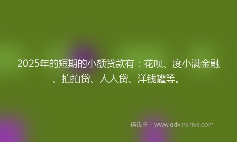2025年的短期的小额贷款有：花呗、度小满金融、拍拍贷、人人贷、洋钱罐等。
