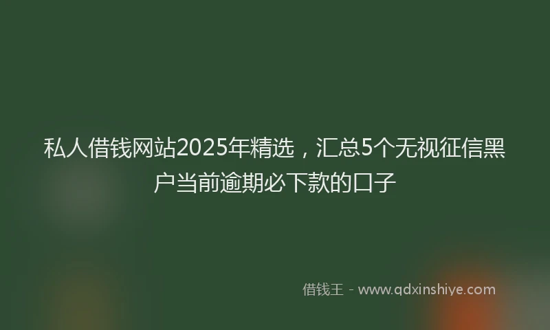 私人借钱网站2025年精选，汇总5个无视征信黑户当前逾期必下款的口子