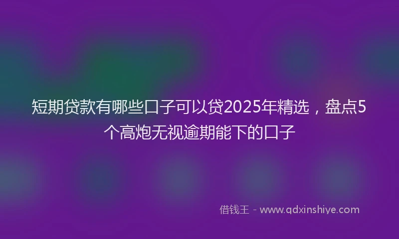 短期贷款有哪些口子可以贷2025年精选，盘点5个高炮无视逾期能下的口子