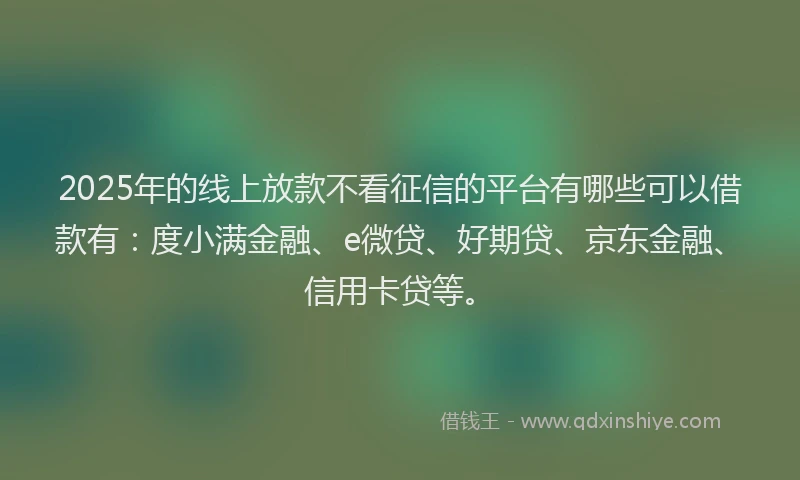 2025年的线上放款不看征信的平台有哪些可以借款有：度小满金融、e微贷、好期贷、京东金融、信用卡贷等。