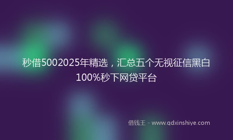 秒借5002025年精选，汇总五个无视征信黑白100%秒下网贷平台