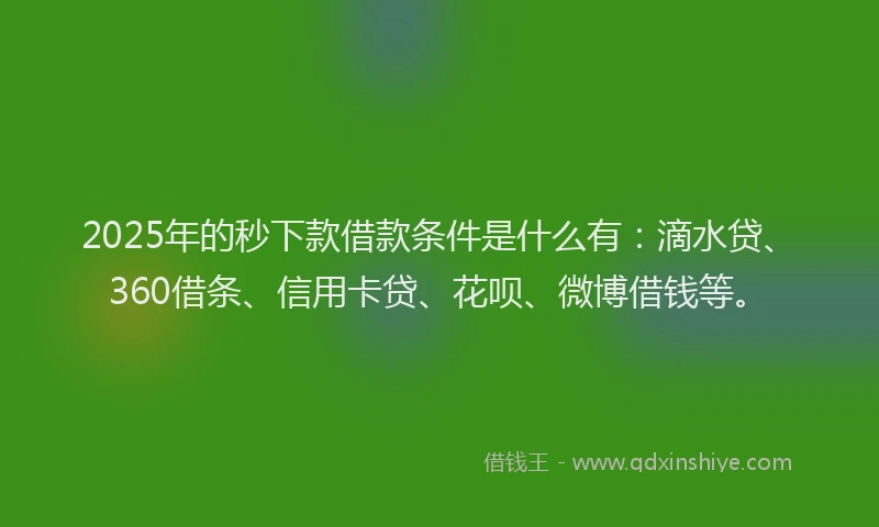 2025年的秒下款借款条件是什么有：滴水贷、360借条、信用卡贷、花呗、微博借钱等。