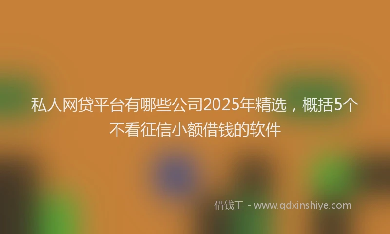 私人网贷平台有哪些公司2025年精选，概括5个不看征信小额借钱的软件