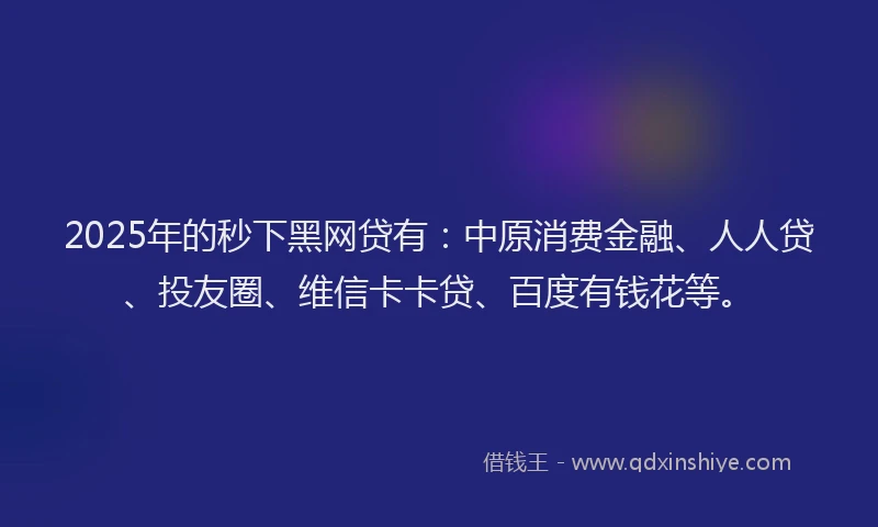 2025年的秒下黑网贷有：中原消费金融、人人贷、投友圈、维信卡卡贷、百度有钱花等。