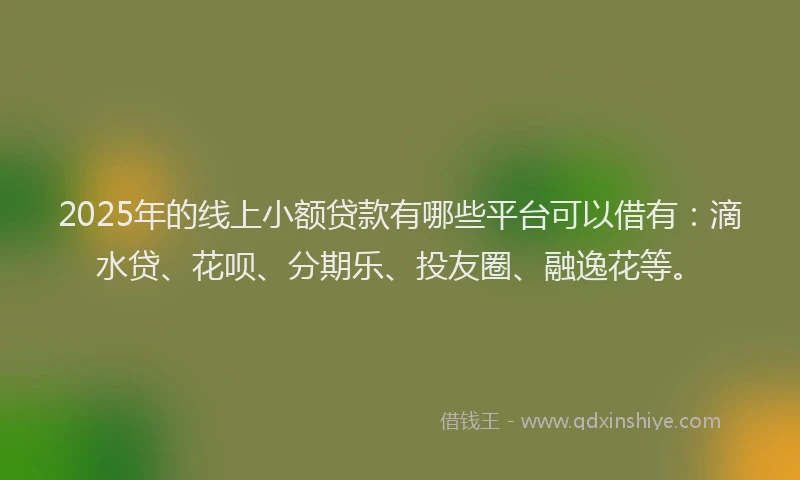 2025年的线上小额贷款有哪些平台可以借有：滴水贷、花呗、分期乐、投友圈、融逸花等。