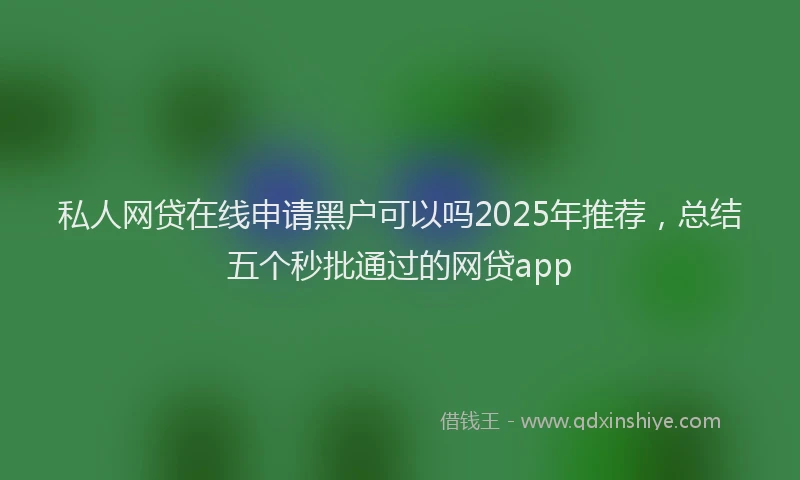 私人网贷在线申请黑户可以吗2025年推荐，总结五个秒批通过的网贷app