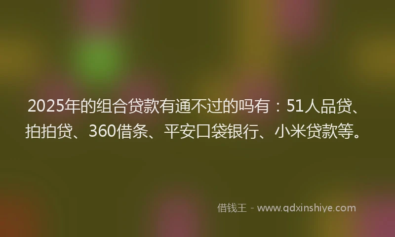 2025年的组合贷款有通不过的吗有：51人品贷、拍拍贷、360借条、平安口袋银行、小米贷款等。