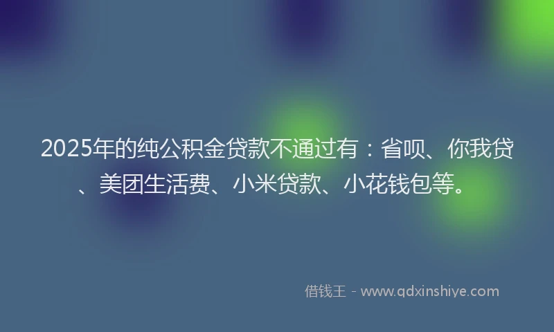 2025年的纯公积金贷款不通过有:省呗、你我贷、美团生活费、小米贷款、小花钱包等。