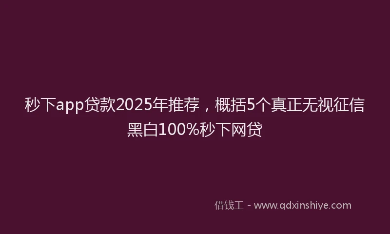 秒下app贷款2025年推荐，概括5个真正无视征信黑白100%秒下网贷