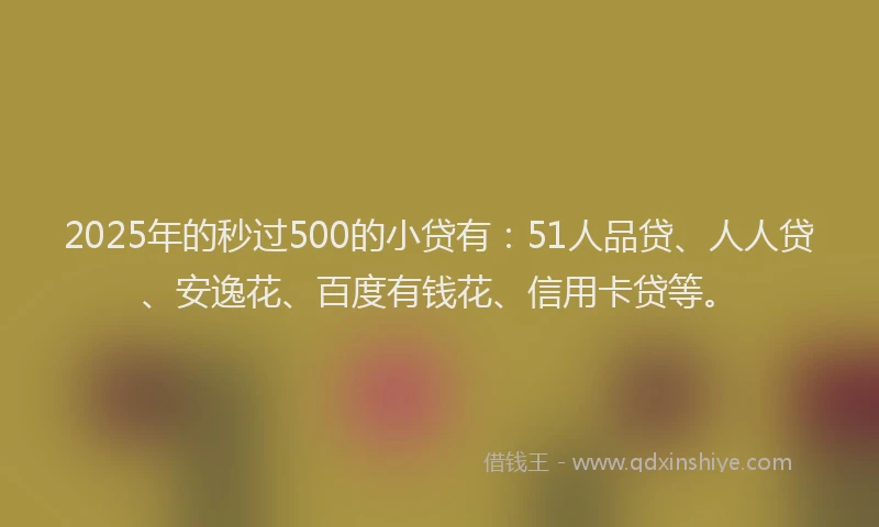 2025年的秒过500的小贷有：51人品贷、人人贷、安逸花、百度有钱花、信用卡贷等。