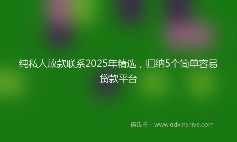 纯私人放款联系2025年精选，归纳5个简单容易贷款平台