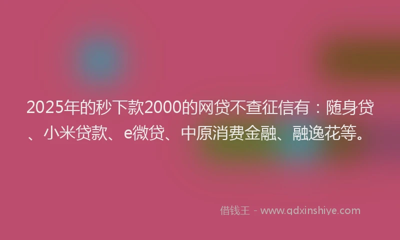 2025年的秒下款2000的网贷不查征信有：随身贷、小米贷款、e微贷、中原消费金融、融逸花等。