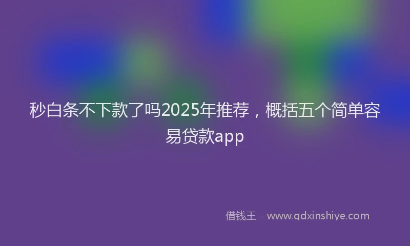 秒白条不下款了吗2025年推荐，概括五个简单容易贷款app