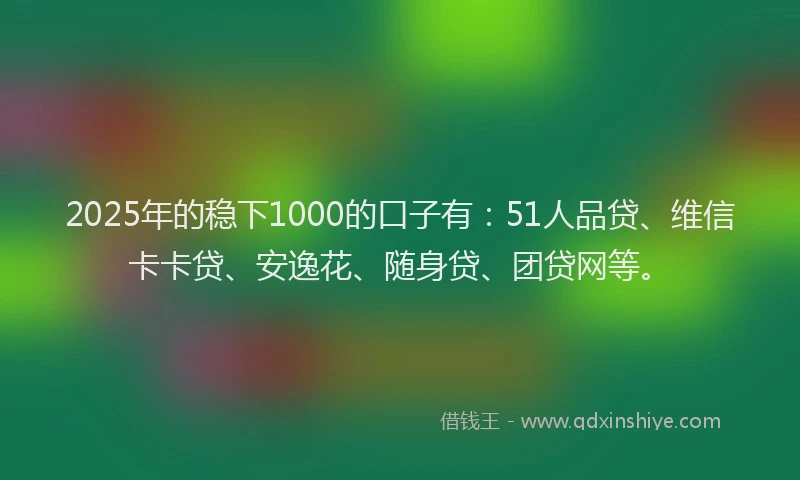 2025年的稳下1000的口子有：51人品贷、维信卡卡贷、安逸花、随身贷、团贷网等。