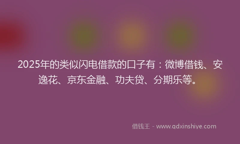 2025年的类似闪电借款的口子有：微博借钱、安逸花、京东金融、功夫贷、分期乐等。