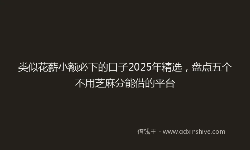 类似花薪小额必下的口子2025年精选，盘点五个不用芝麻分能借的平台