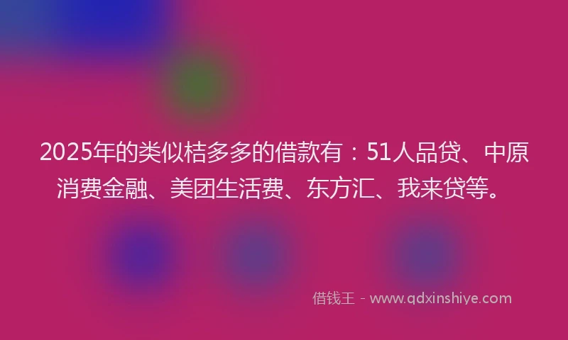 2025年的类似桔多多的借款有：51人品贷、中原消费金融、美团生活费、东方汇、我来贷等。