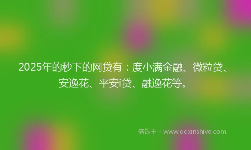 2025年的秒下的网贷有：度小满金融、微粒贷、安逸花、平安i贷、融逸花等。