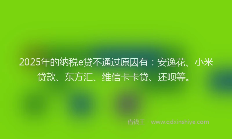 2025年的纳税e贷不通过原因有：安逸花、小米贷款、东方汇、维信卡卡贷、还呗等。