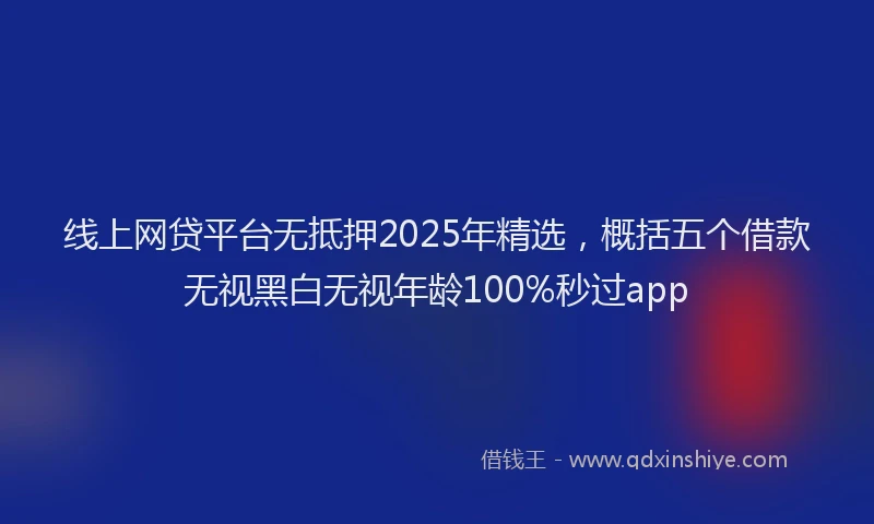线上网贷平台无抵押2025年精选，概括五个借款无视黑白无视年龄100%秒过app